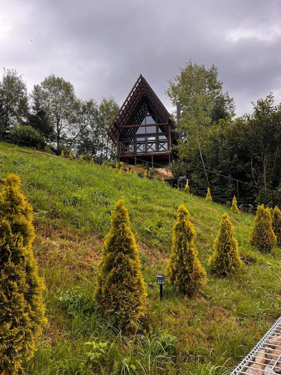 Valley Hills-Котедж На Схилах Гір З Чаном-Джакузі Slavske Buitenkant foto