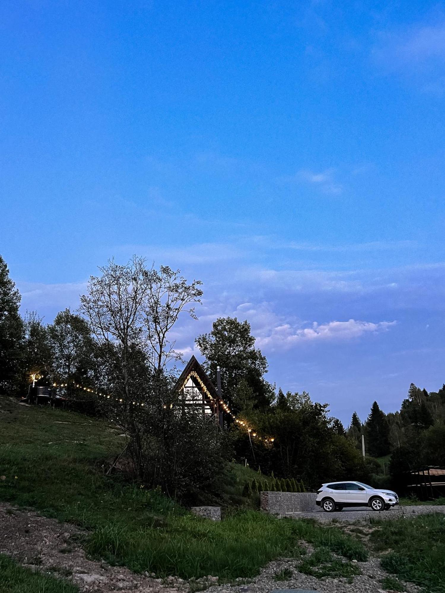 Valley Hills-Котедж На Схилах Гір З Чаном-Джакузі Slavske Buitenkant foto