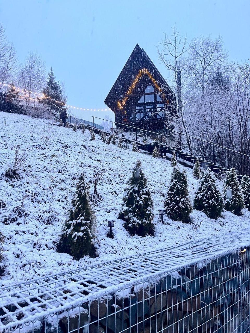 Valley Hills-Котедж На Схилах Гір З Чаном-Джакузі Slavske Buitenkant foto